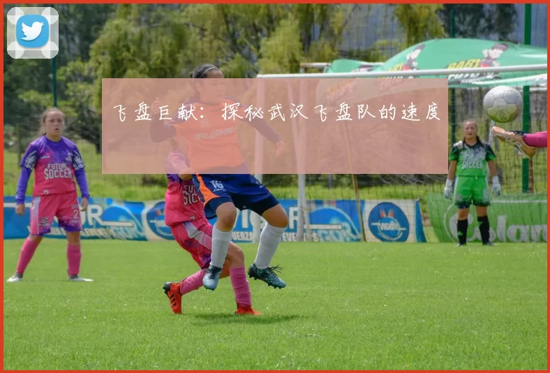 飞盘巨献：探秘武汉飞盘队的速度