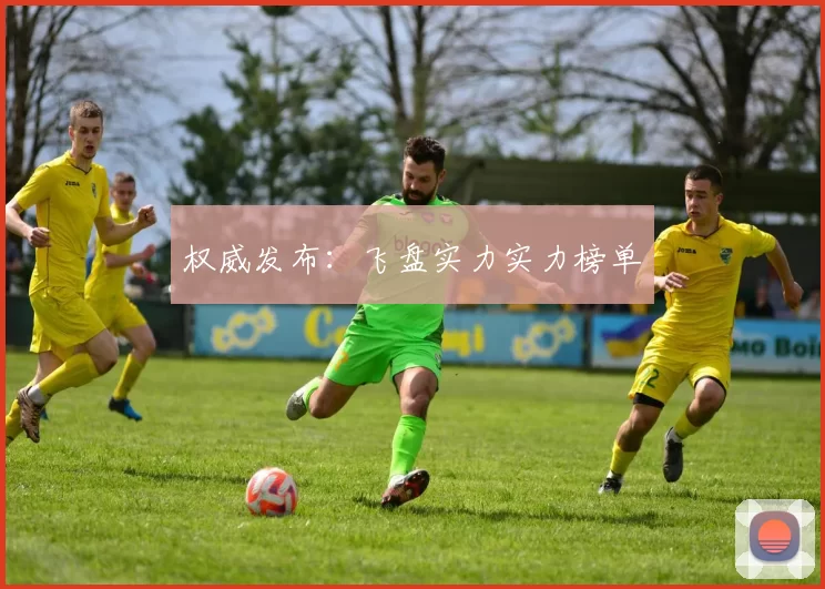 权威发布：飞盘实力实力榜单