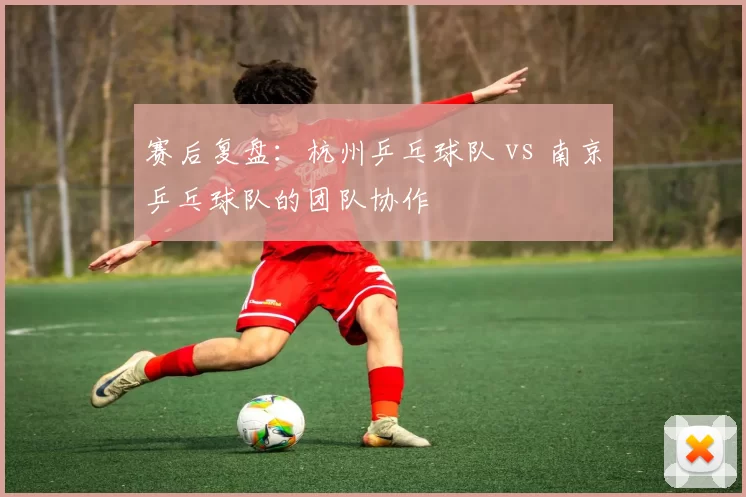 赛后复盘：杭州乒乓球队 vs 南京乒乓球队的团队协作