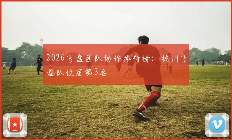 2026飞盘团队协作排行榜：杭州飞盘队位居第3名