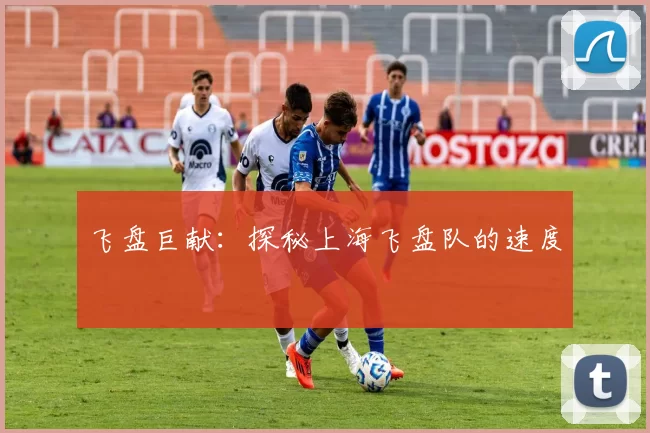 飞盘巨献：探秘上海飞盘队的速度