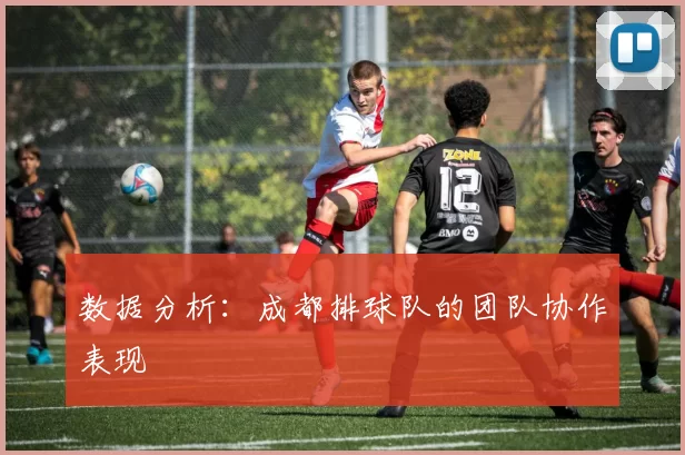 数据分析：成都排球队的团队协作表现
