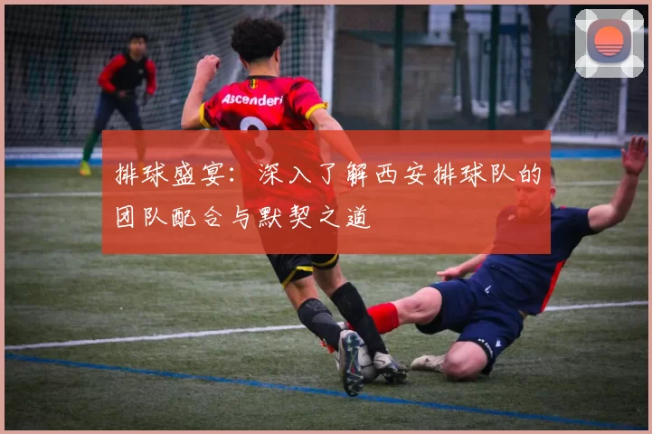 排球盛宴：深入了解西安排球队的团队配合与默契之道