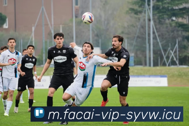 华体会体育注册APP 高清赛事图